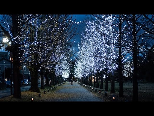 🌳 배움의 숲 (마나비노모리) 이미지 9